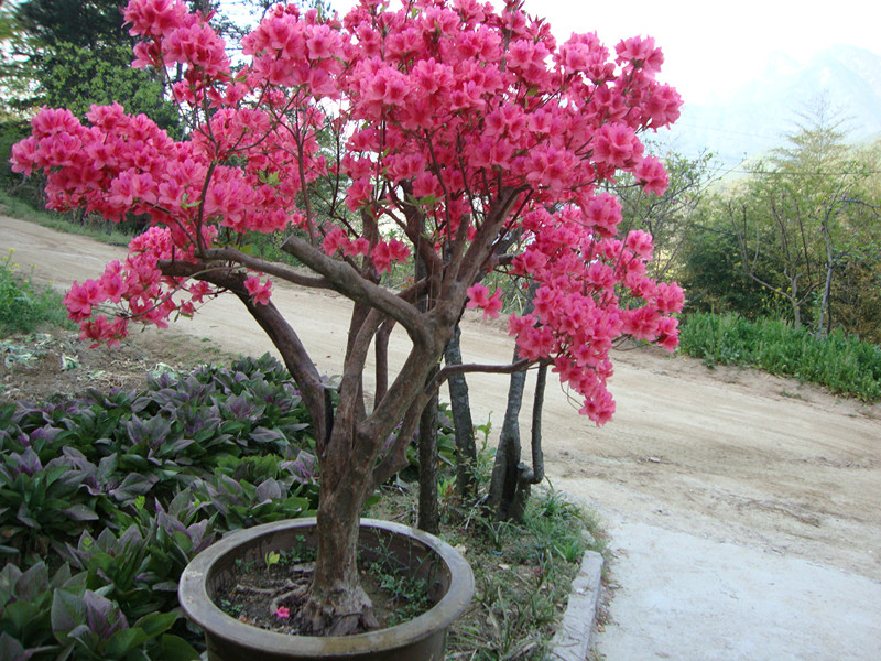 DSC01039_.jpg