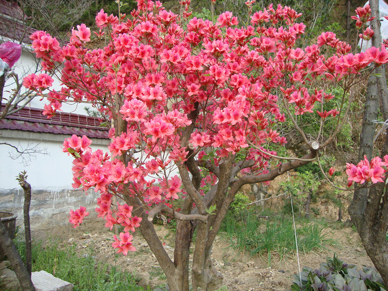 DSC01034_.jpg