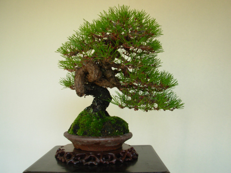 dscn9416.jpg