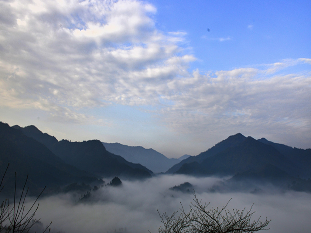_DSC0534_xxxxxx_534.jpg