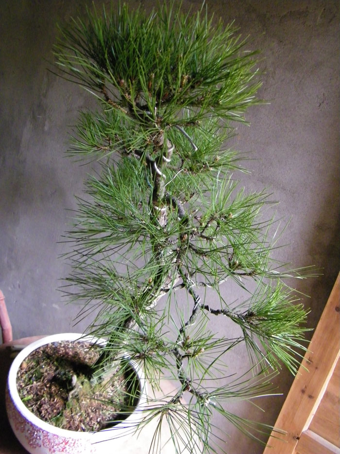 100_2156.jpg
