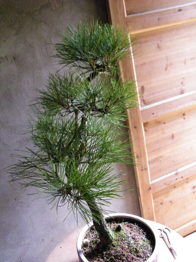 100_2157.jpg