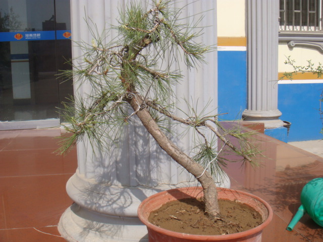 DSC08410.JPG