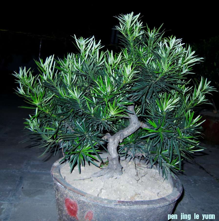 2010320.jpg