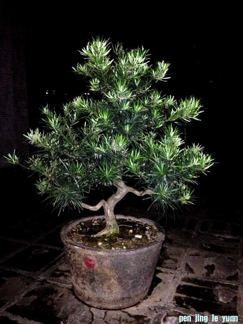 2013415.jpg