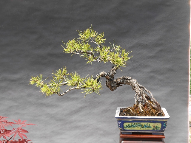 DSCN0077 (640x480).jpg