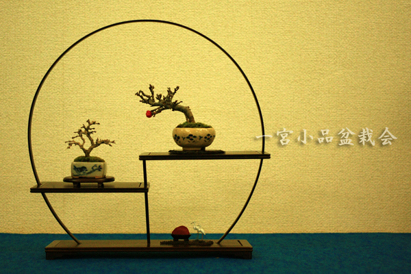 o0600040012393171626.jpg