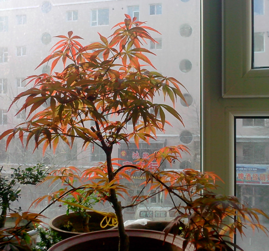 QQͼ20130418072205.png