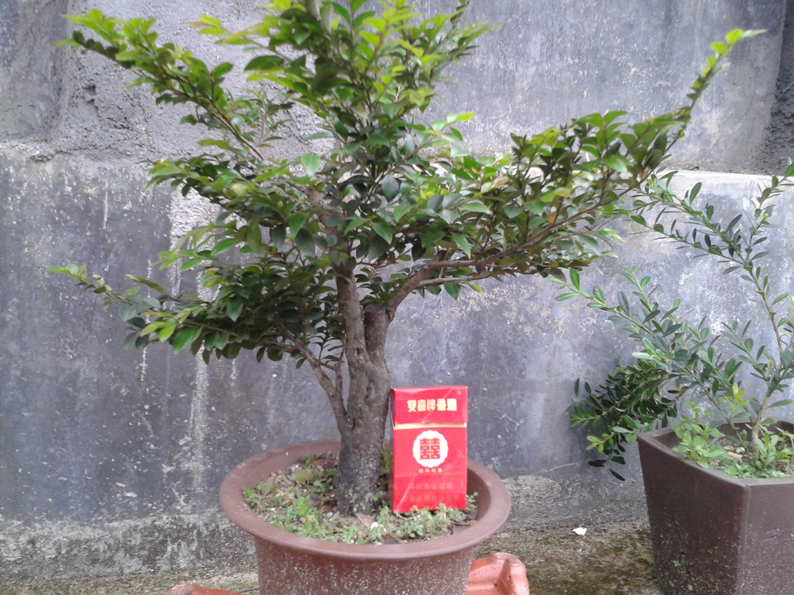 20130417_182145.jpg
