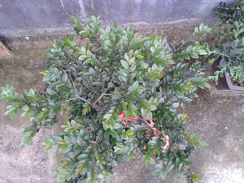 20130417_182210.jpg