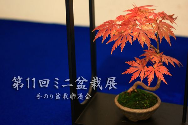 223151tvl2neuv3ngnvdde.jpg.thumb.jpg