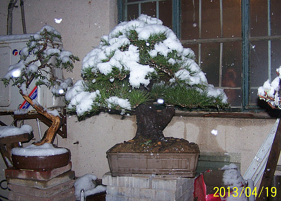 101_2425_.JPG