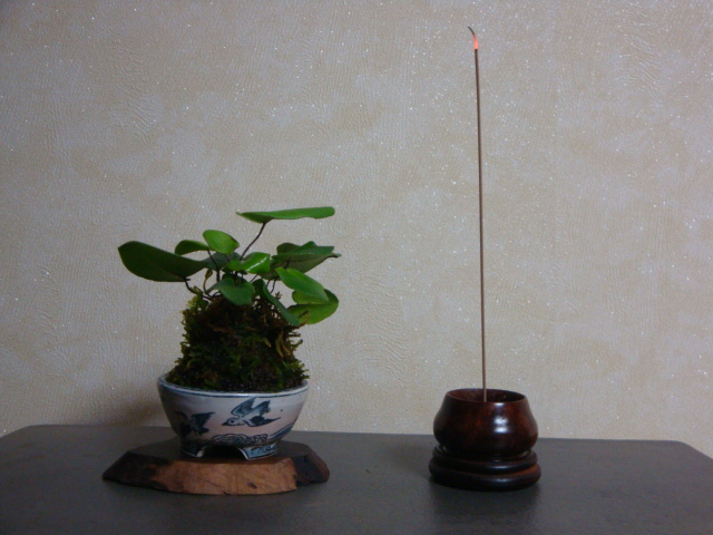 DSC03516.JPG