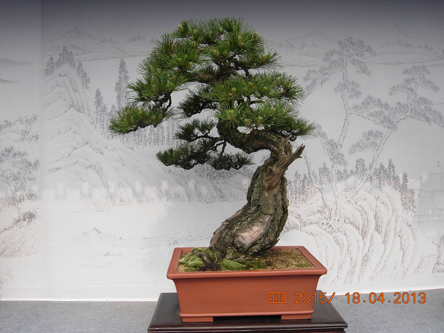 DSCN6707.JPG