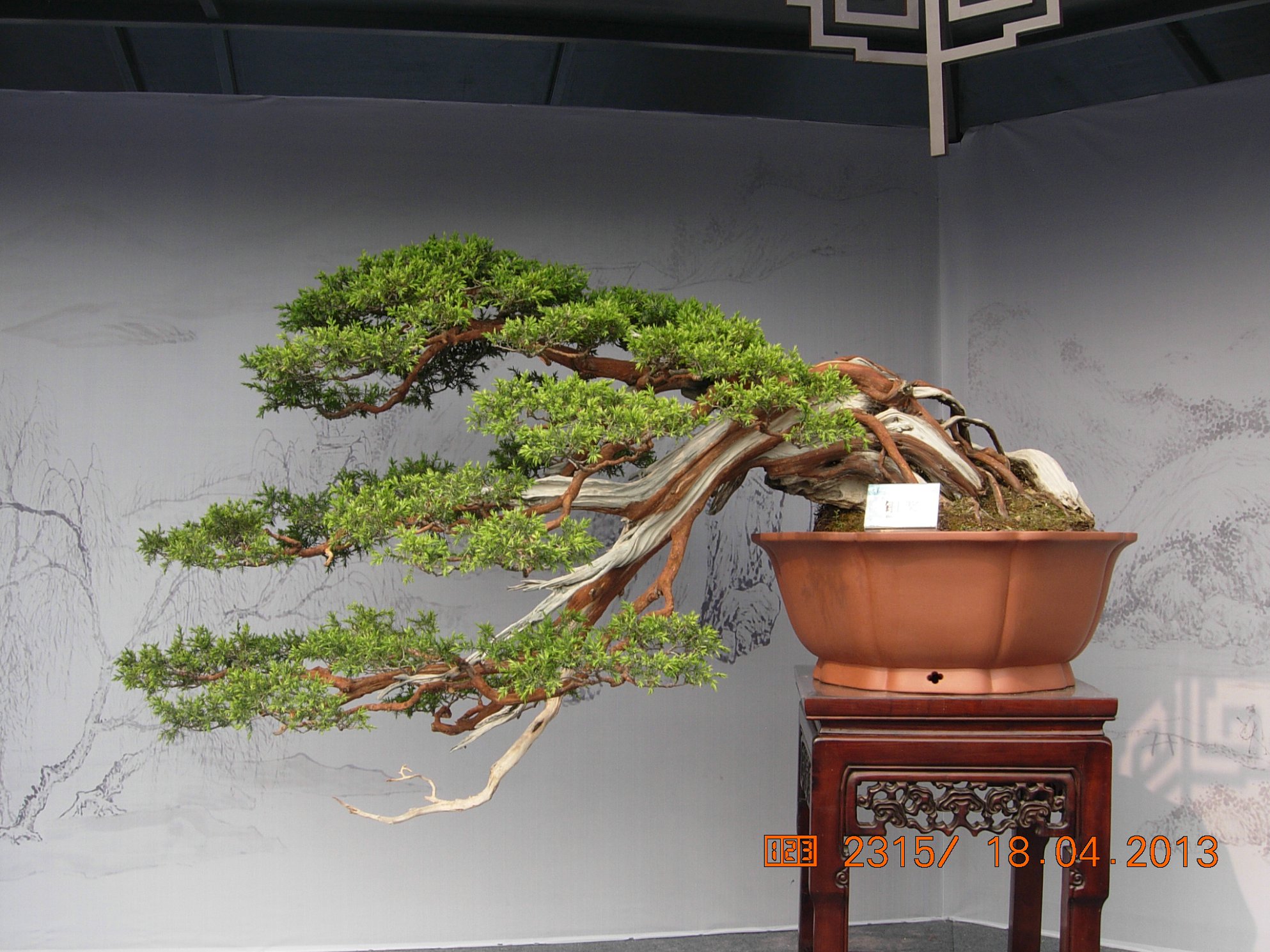 DSCN6713.JPG