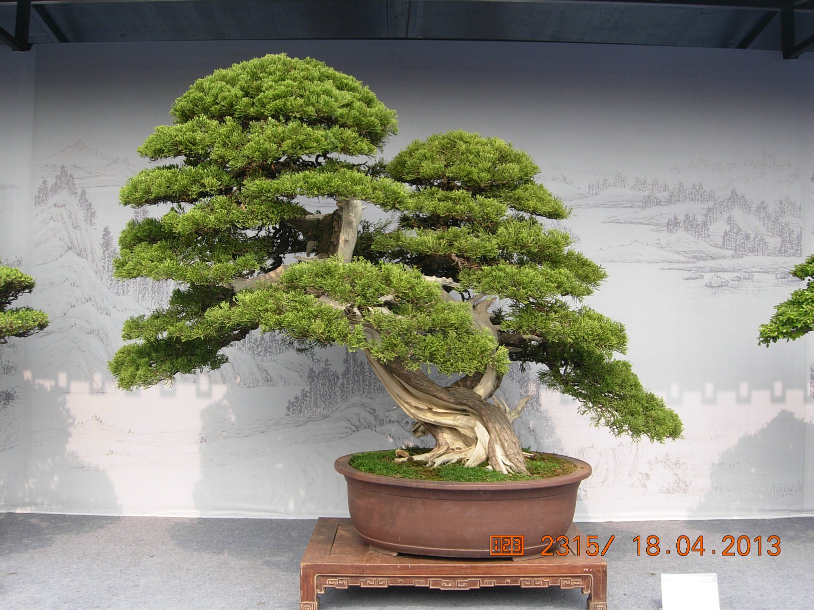 DSCN6719.JPG