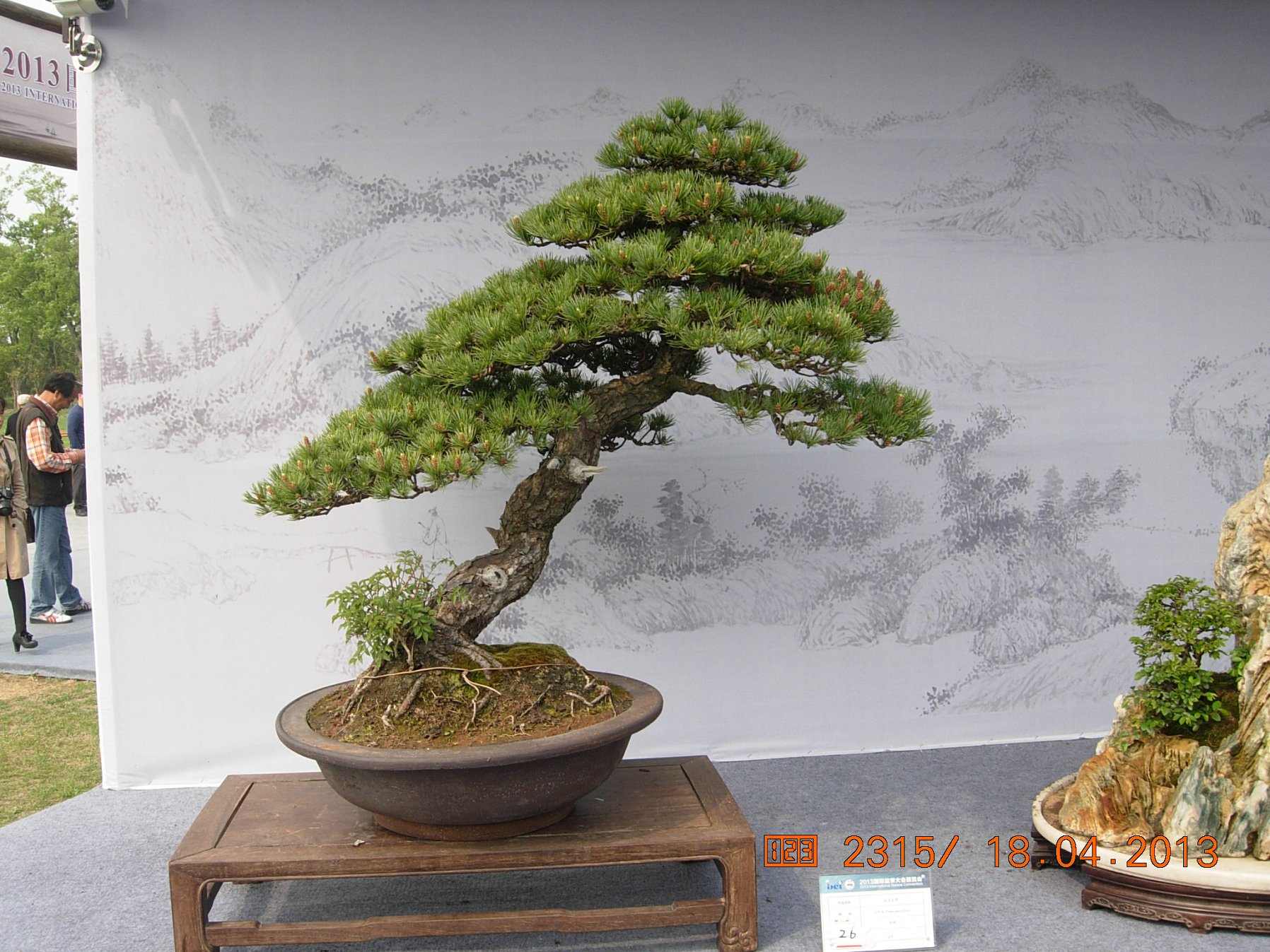 DSCN6724.JPG
