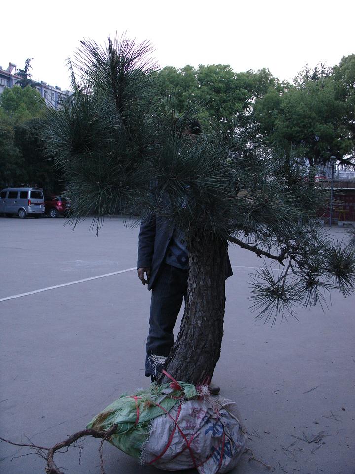 DSC00214.JPG