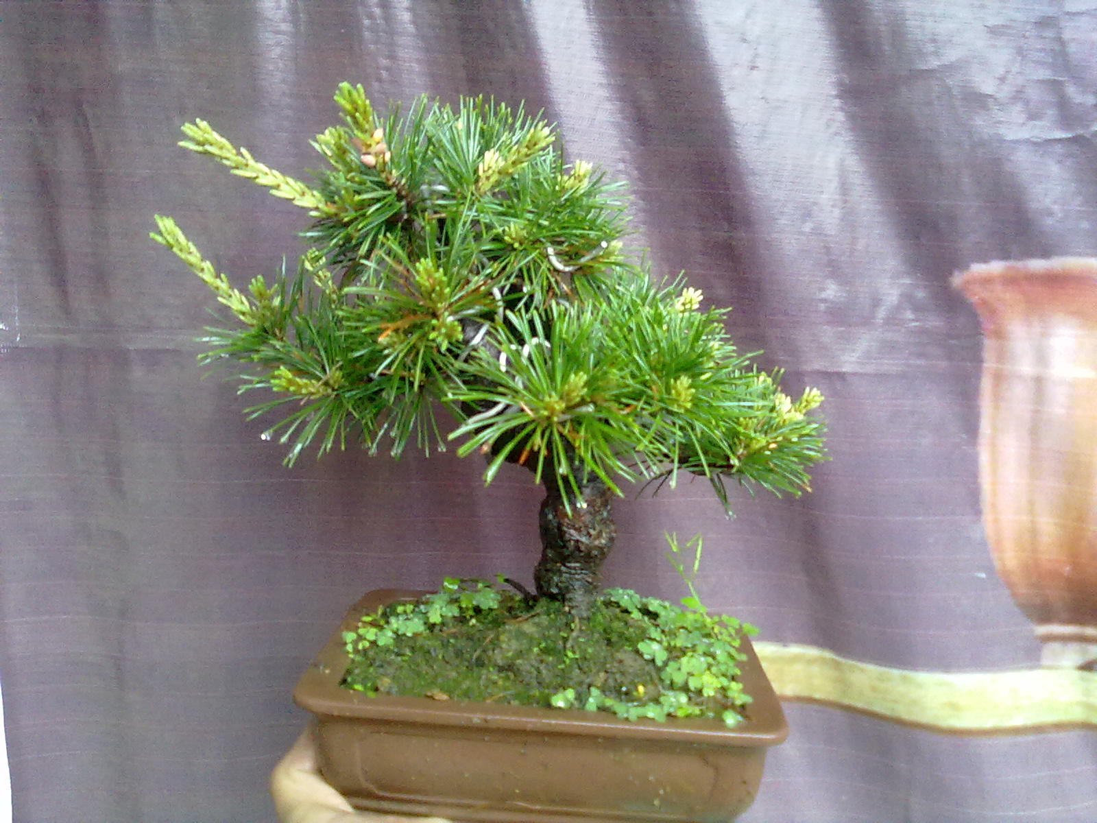 20130422403.jpg
