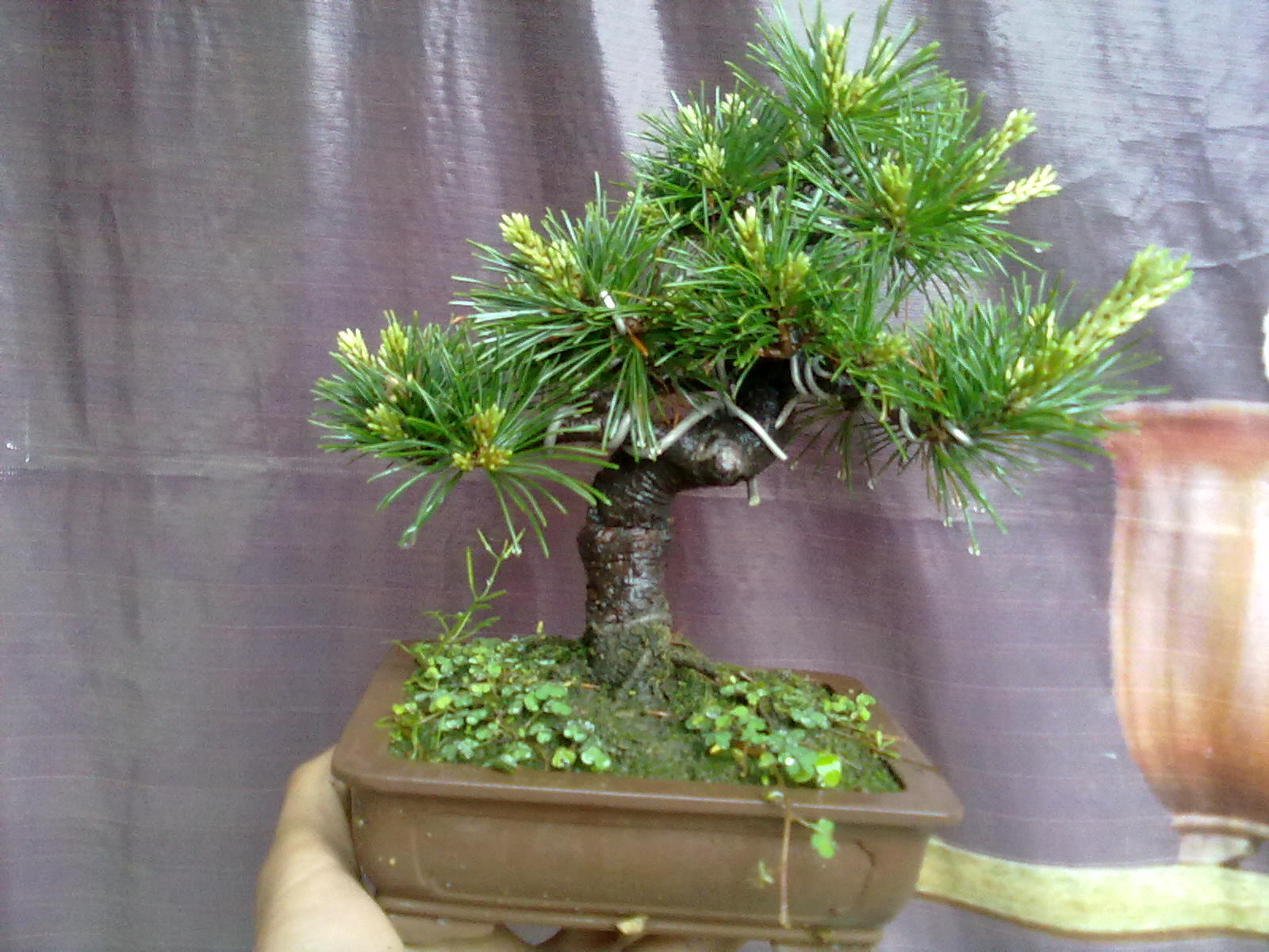 20130422401.jpg