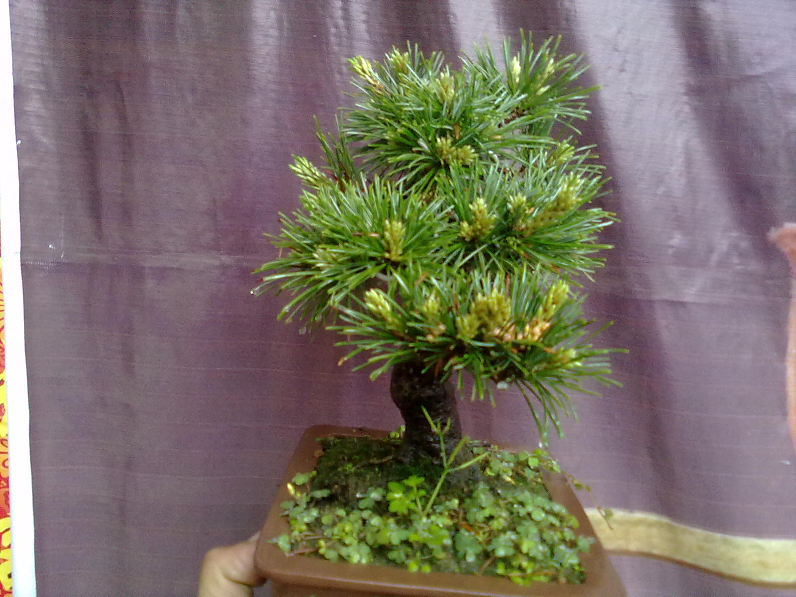 20130422402.jpg