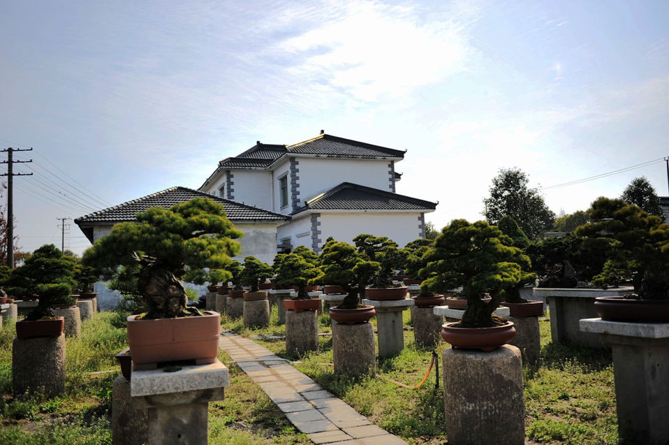 DSC_0190__.jpg