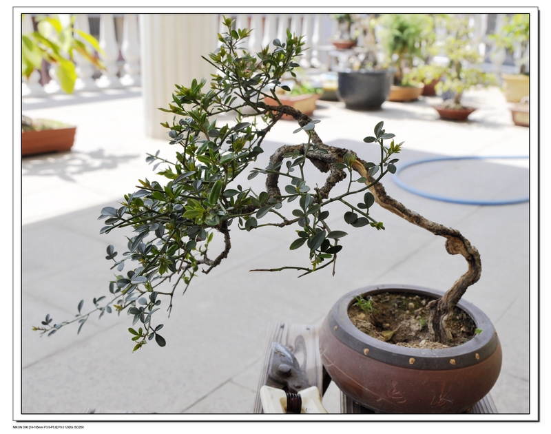 201304 017.jpg