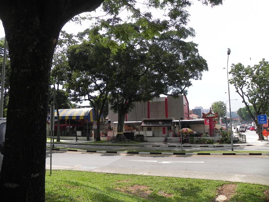 DSCN4196.jpg