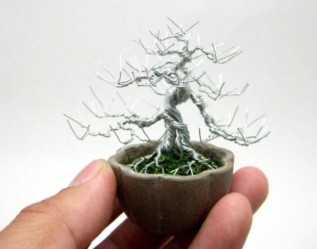 Wire_Bonsai_005.jpg