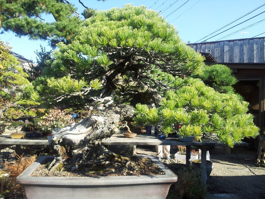 conew_20121120_130915.jpg