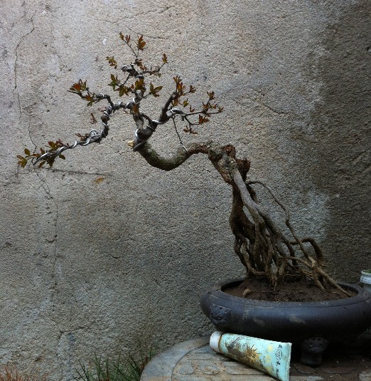 QQͼ20130427153913.jpg