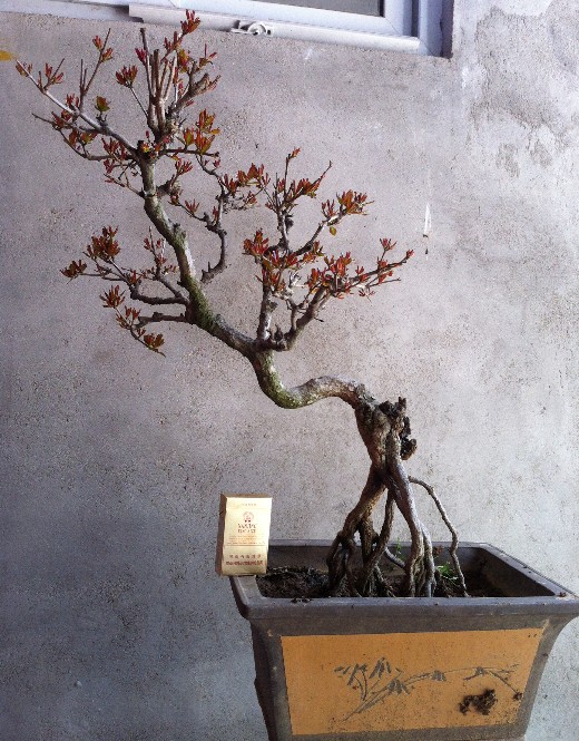 QQͼ20130427154203.jpg