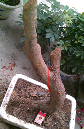 QQͼ20130427210137.png