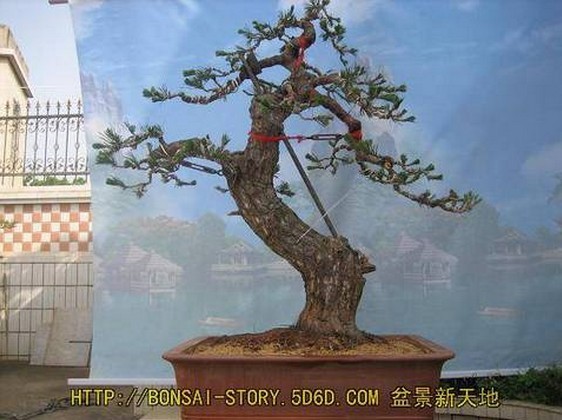 δ14.jpg