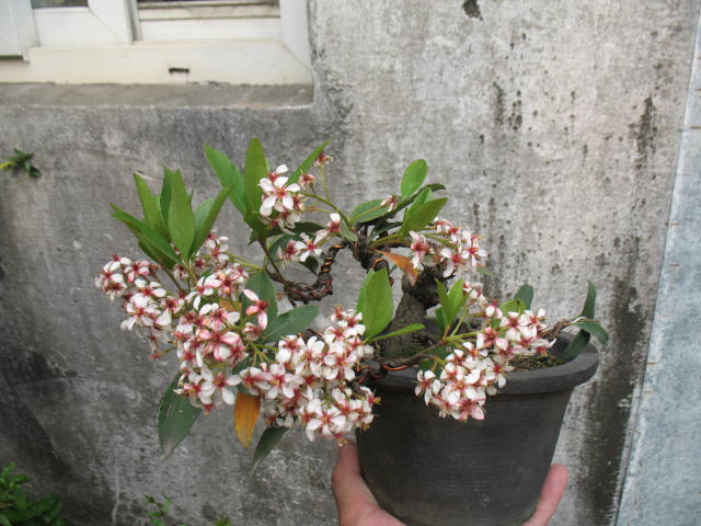 IMG_6130.JPG