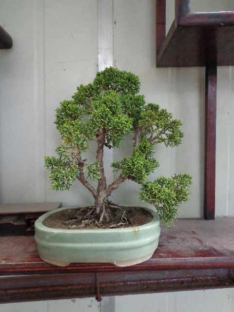 DSC00264.JPG
