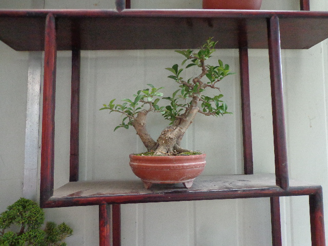 DSC00265.JPG