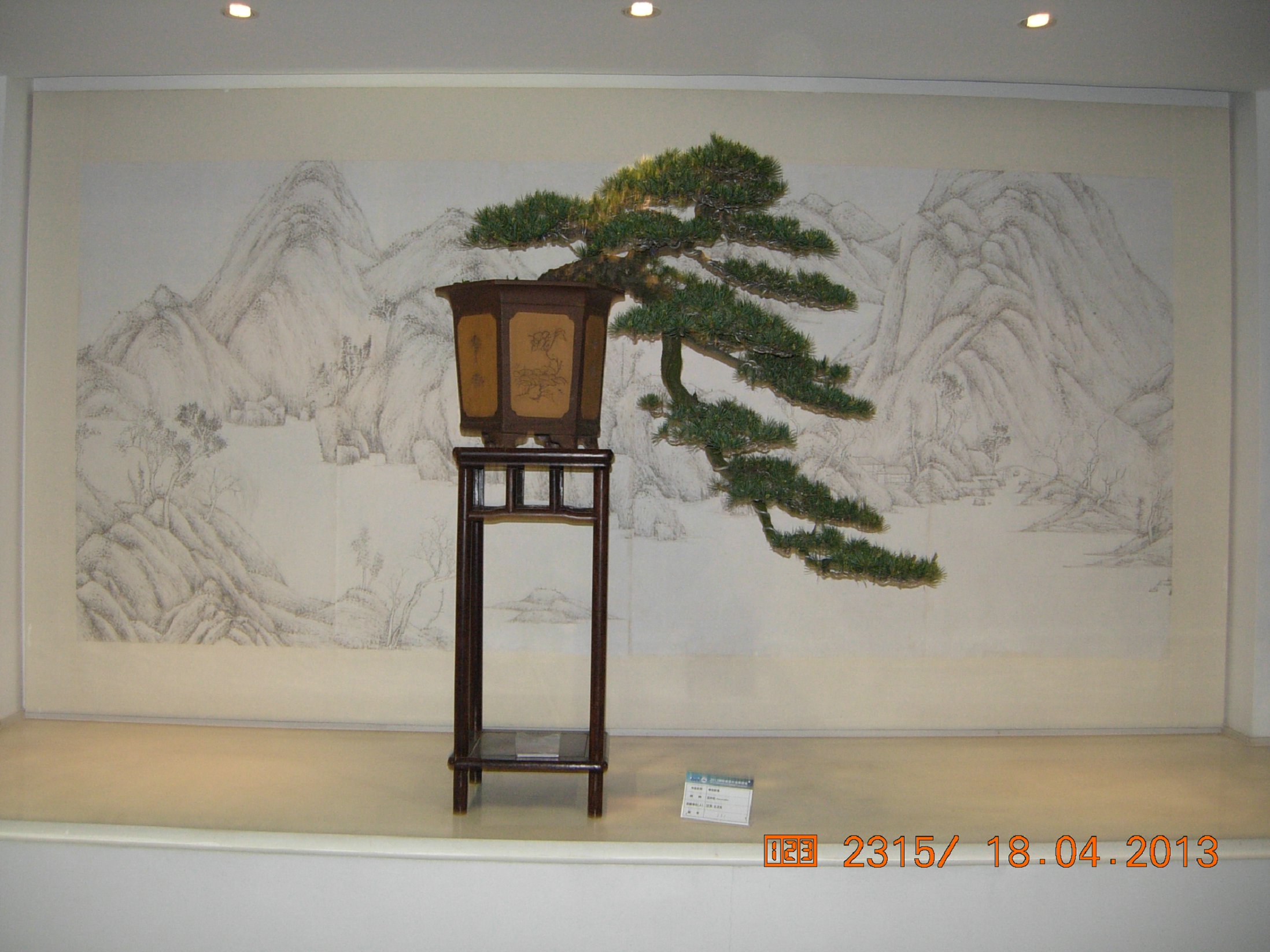 DSCN6770.JPG