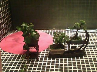  IMG0169A.jpg