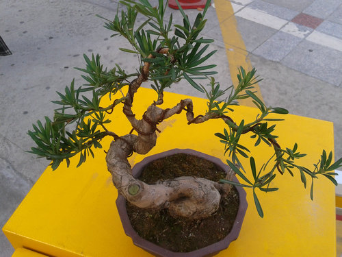 2013-04-15 17.24.03.jpg
