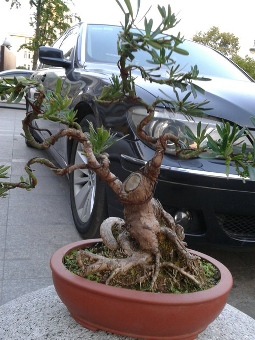 2013-04-15 17.31.57.jpg