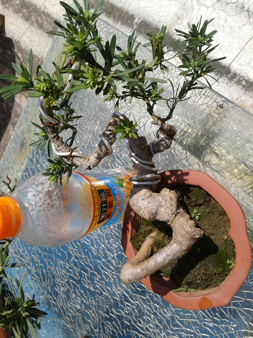 2013-04-26 13.26.46.jpg