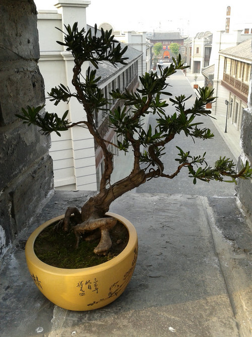 2013-04-21 16.45.08.jpg
