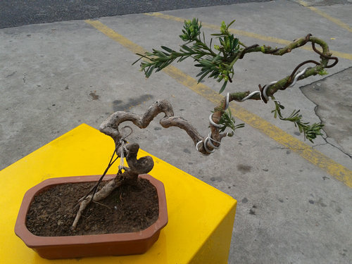2013-04-20 13.28.36.jpg