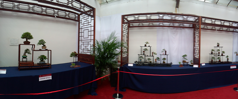 P30430-075752_.jpg