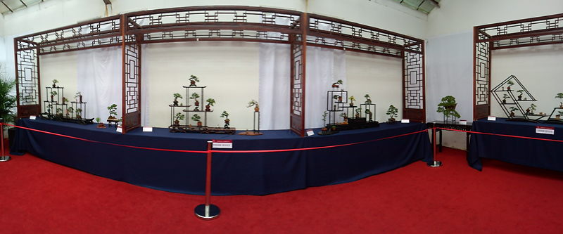 P30430-075909_.jpg