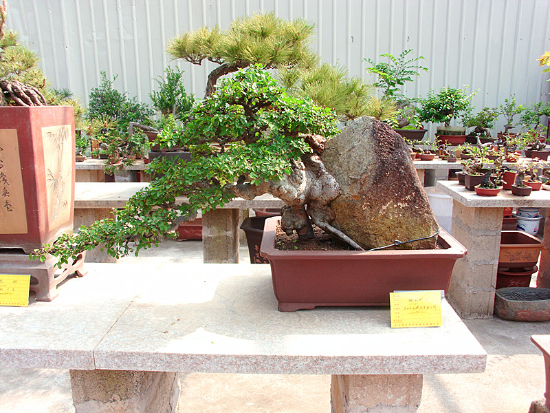 DSCI2870_.jpg