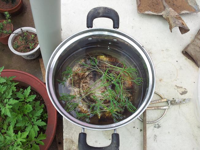 20130501_092952.jpg