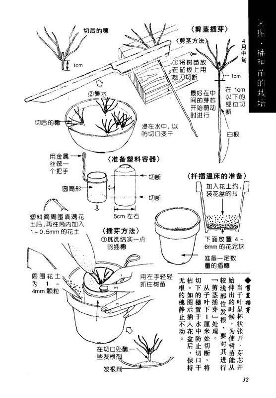 c2fdfc039245d68831586fd5a5c27d1ed21b246d.jpg