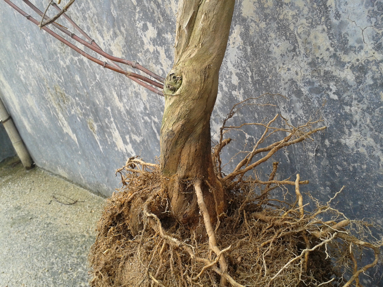 20130430_112545.jpg